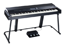 Music Academy in Guindy | Music Academy in Ashok Nagar